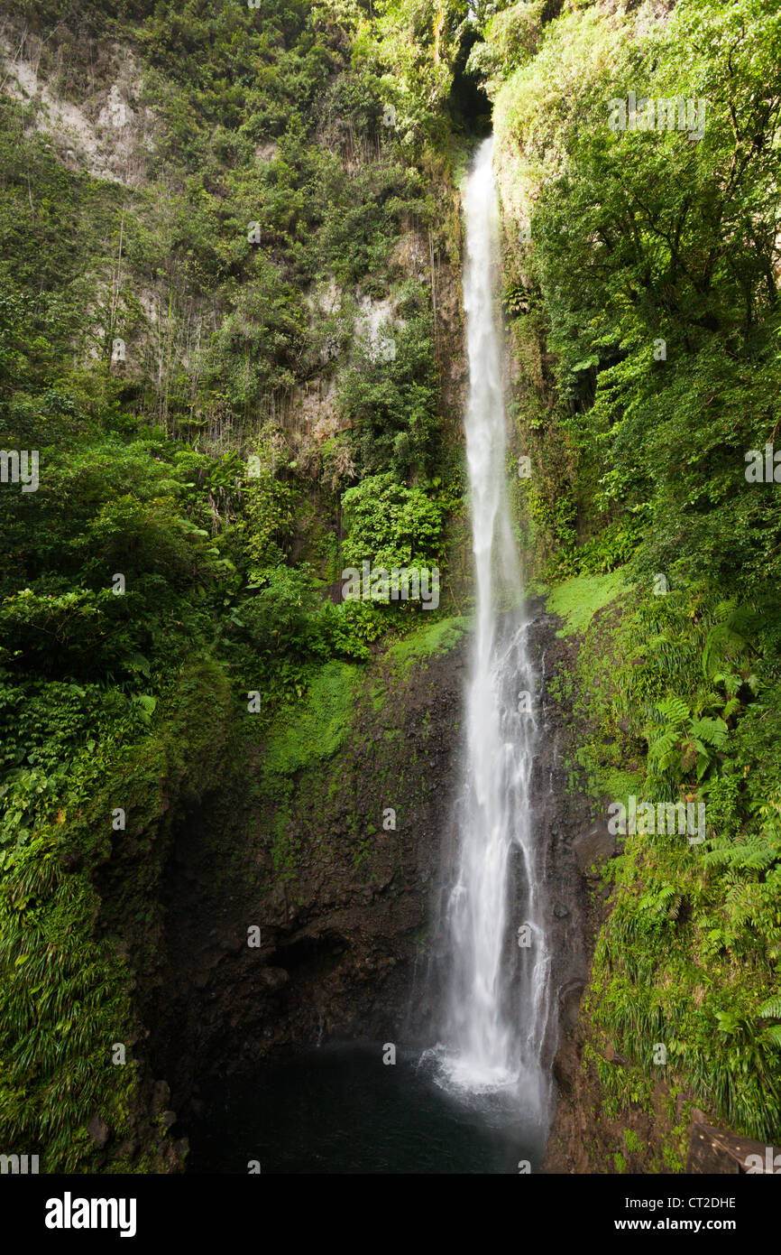 Middleham Falls Cascade, parc national du Morne Trois Pitons, Dominique Banque D'Images