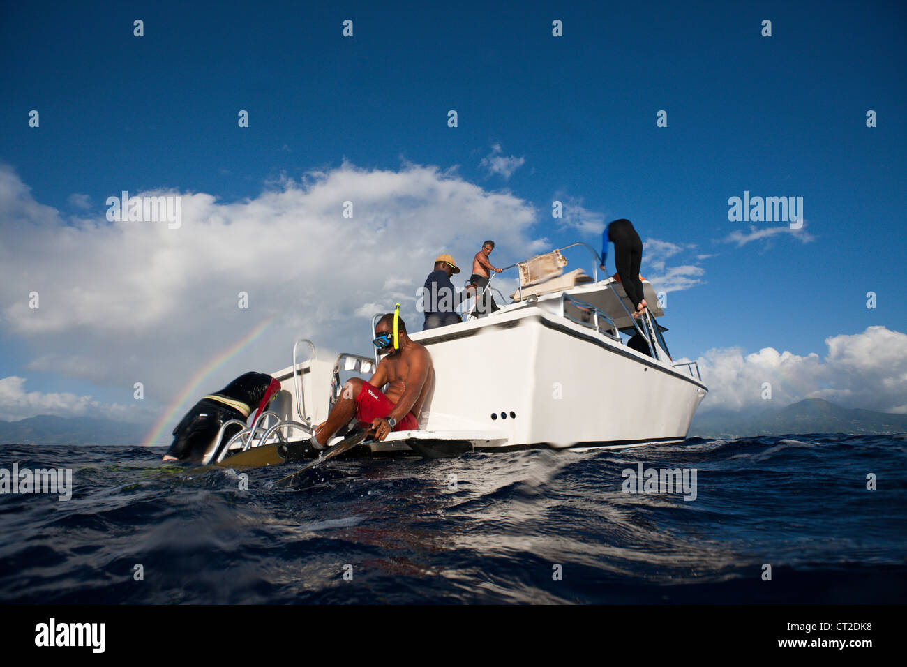 Voyage d'observation des baleines, la mer des Caraïbes, la Dominique Banque D'Images