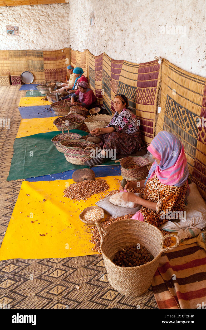 Les femmes berbères arabes travaillant à l'huile d'Argan Femmes co-operative, Essaouira, Maroc, Afrique du Sud Banque D'Images