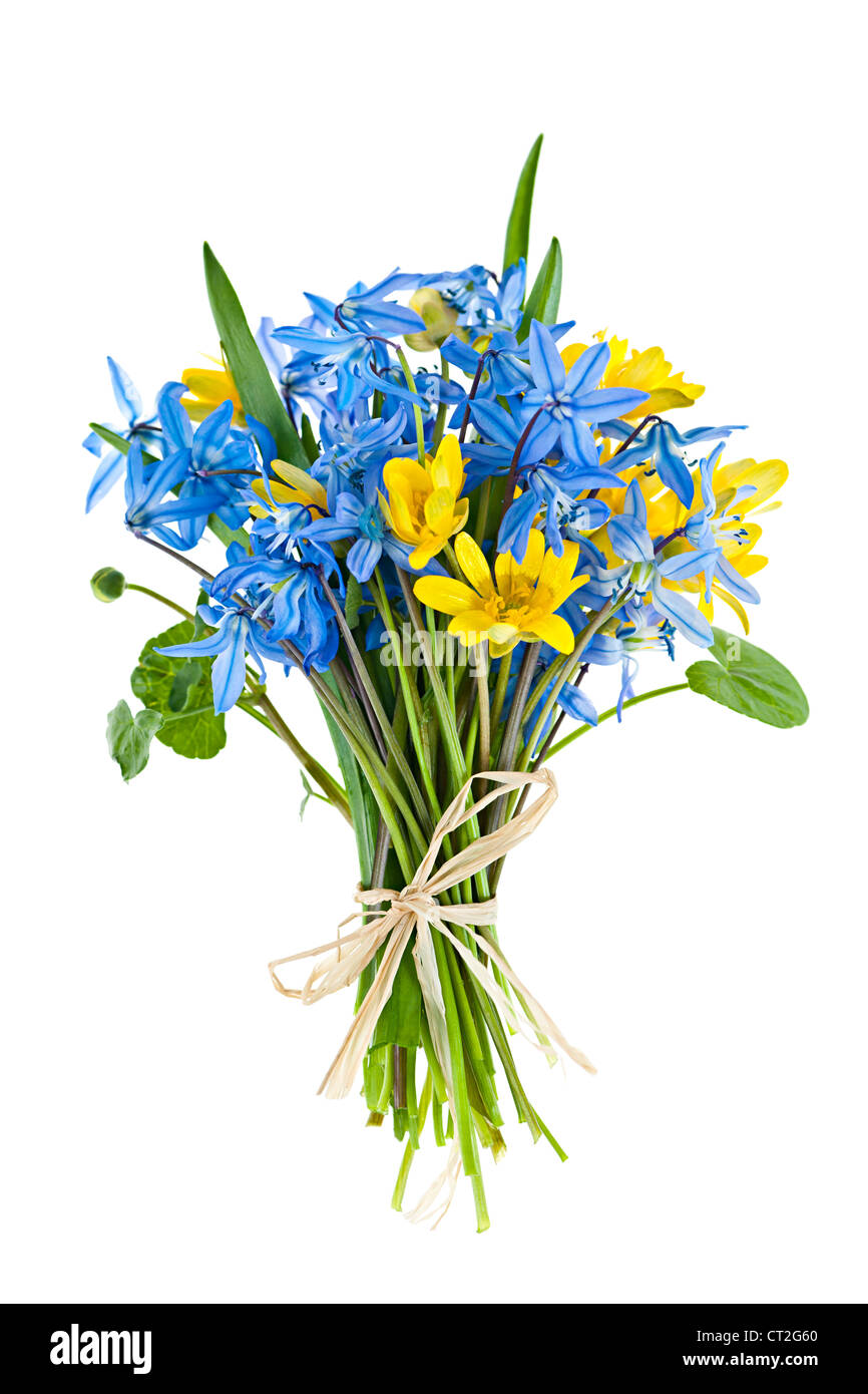 Bouquet de fleurs de printemps liée isolé sur fond blanc Banque D'Images