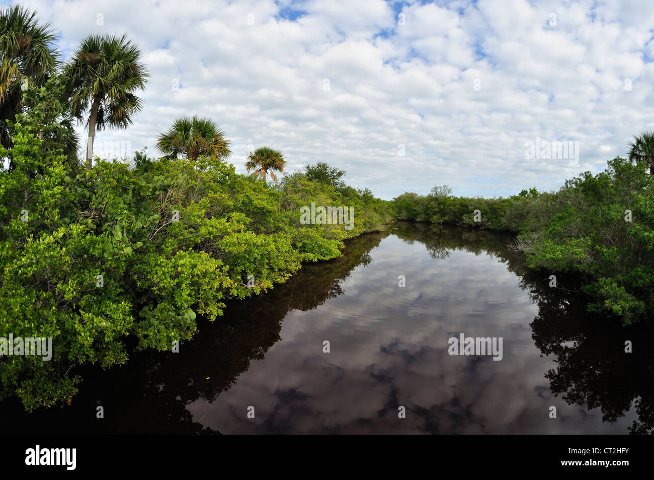 Vue grand angle du paysage de la Floride et du ciel au Pelican Island National Wildlife Refuge. Banque D'Images