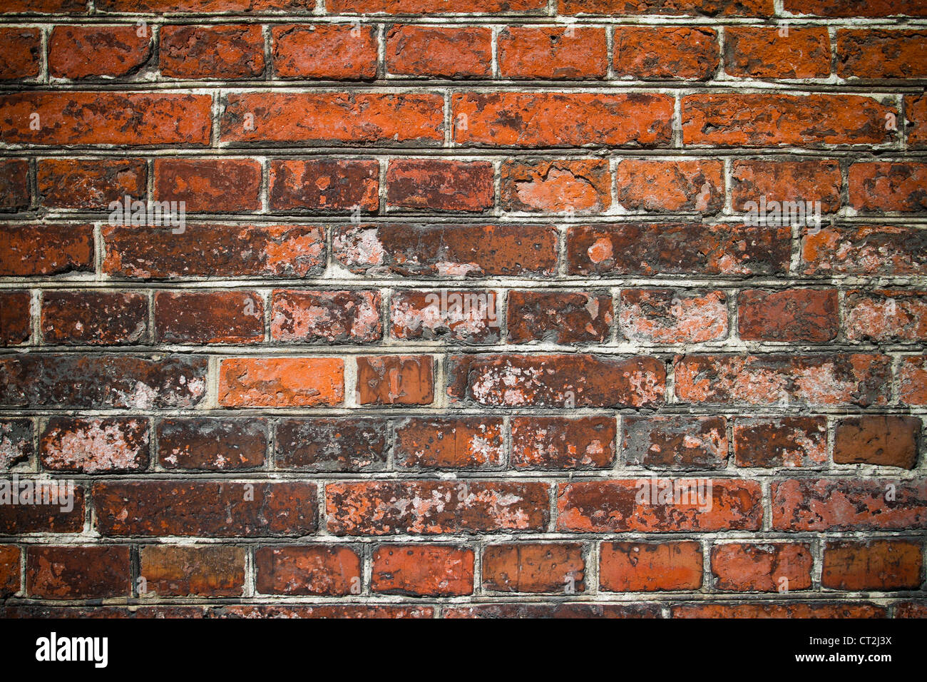 Old brick wall background Banque D'Images