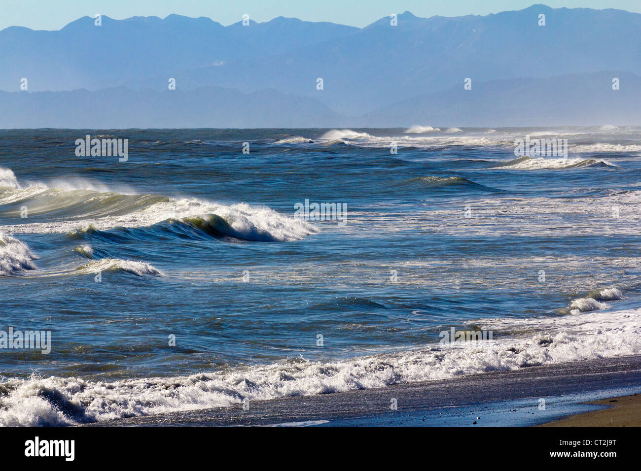 Les disjoncteurs du Pacifique a frappé la plage près de Oamaru, Nouvelle-Zélande 8 Banque D'Images