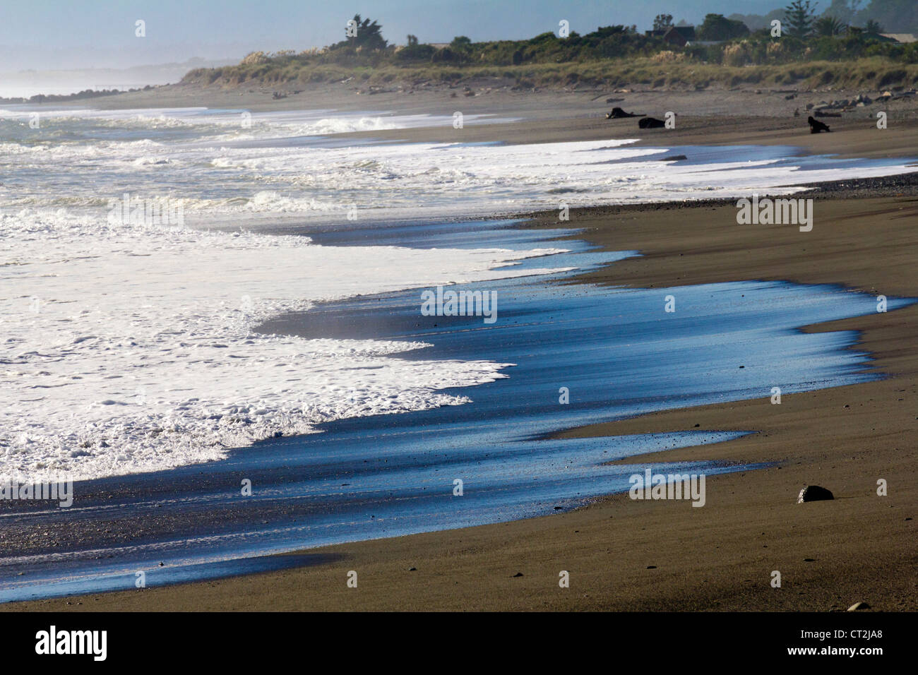 Les disjoncteurs du Pacifique a frappé la plage près de Oamaru, Nouvelle-Zélande Banque D'Images