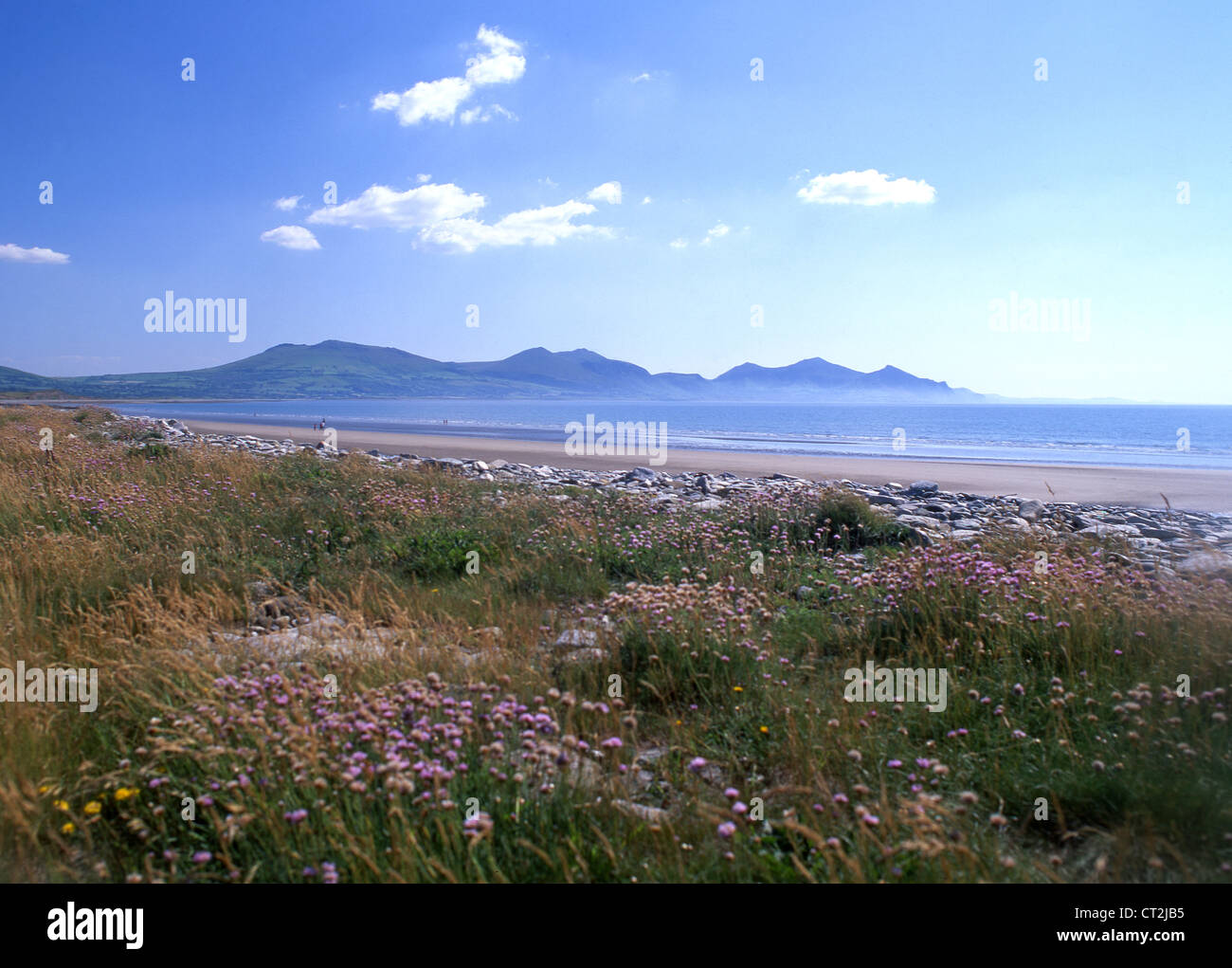 Dinas Dinlle plage avec Yr Eifl montagnes dans la péninsule de Llŷn distance Gwynedd North Wales UK Banque D'Images