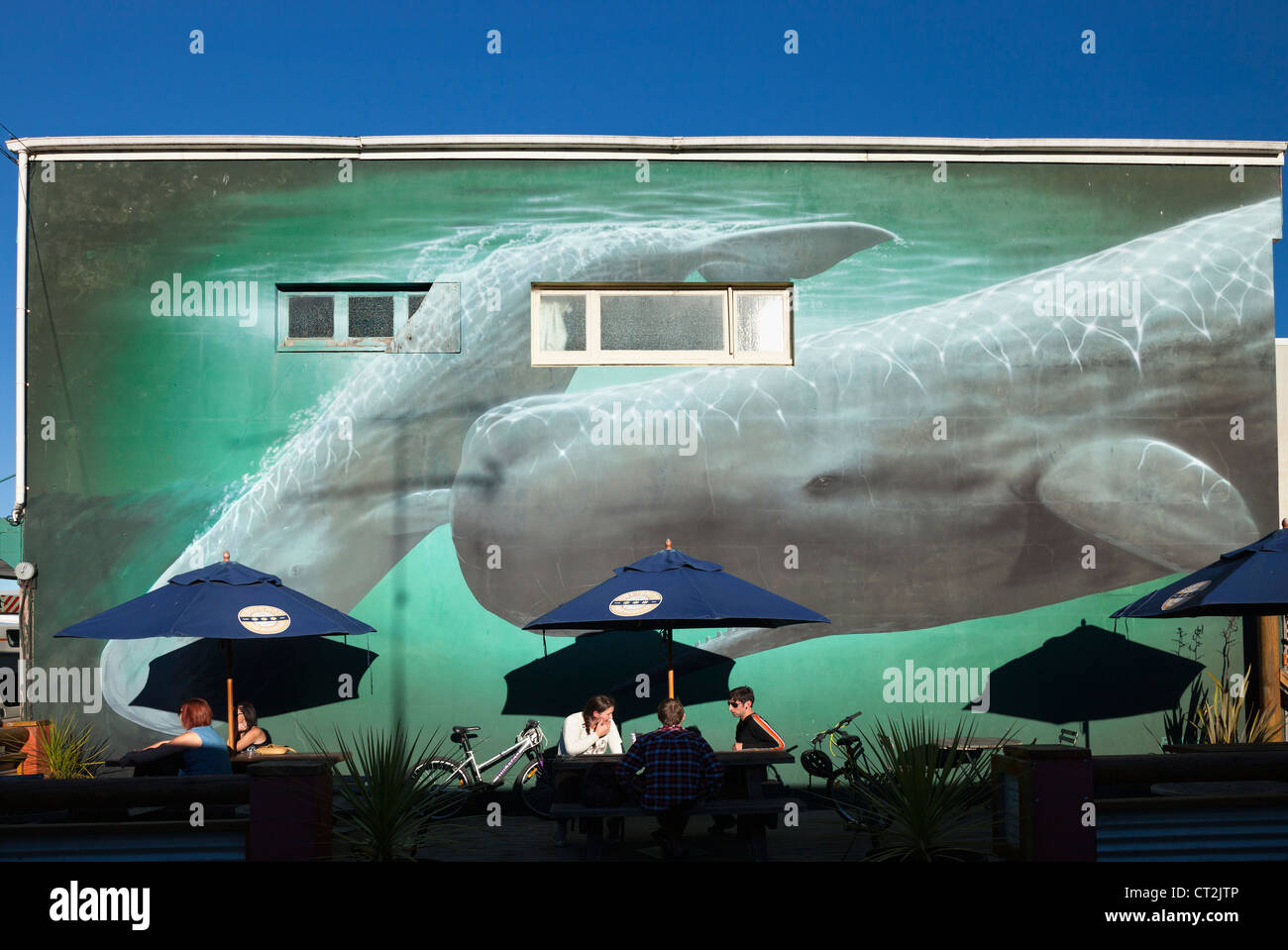 Fresque des baleines au restaurant à Kaikoura, au sud de l'île de la Nouvelle-Zélande 2 Banque D'Images