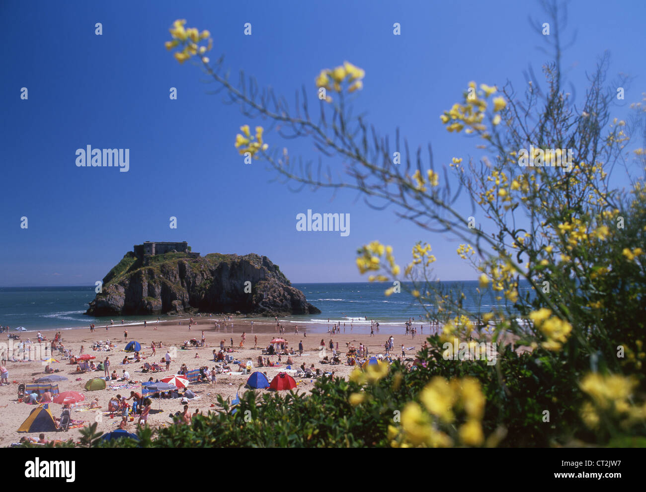 St Catherine's Island et plage de Tenby et Château de l'ouest de Pembrokeshire Wales UK Banque D'Images