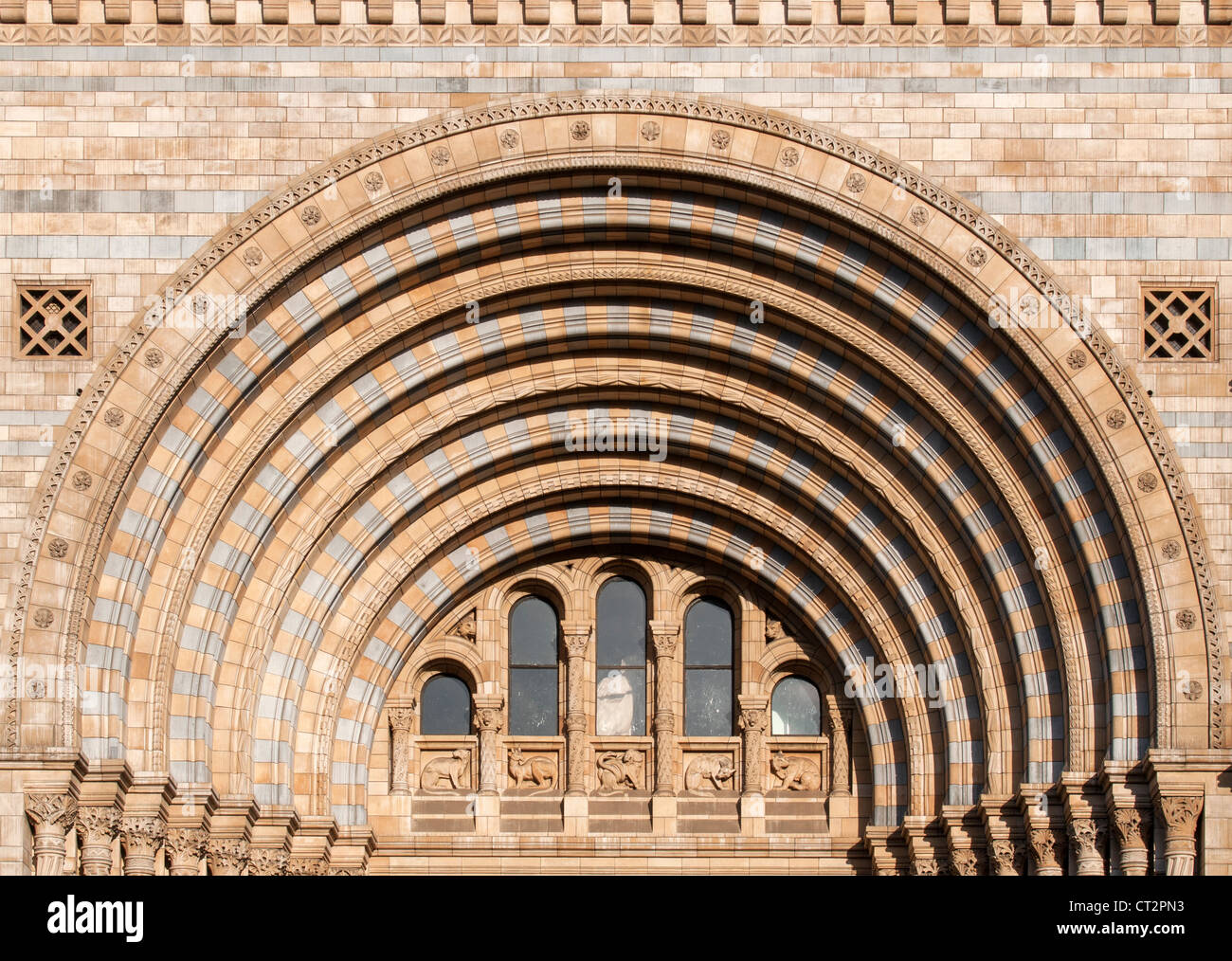 Close-up d'Arches, façade de l'édifice du Musée d'Histoire Naturelle, South Kensington, Londres, Angleterre Banque D'Images