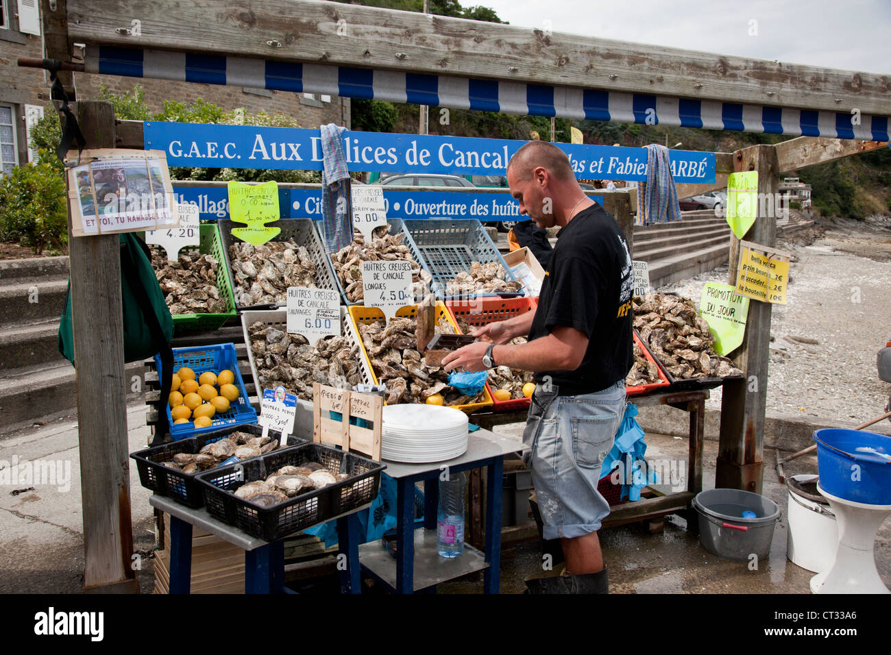 Huîtres - Moules de Bouchots à vendre dans un marché de la ferme d'huîtres Cancale, Cancale, Bretagne, France Banque D'Images