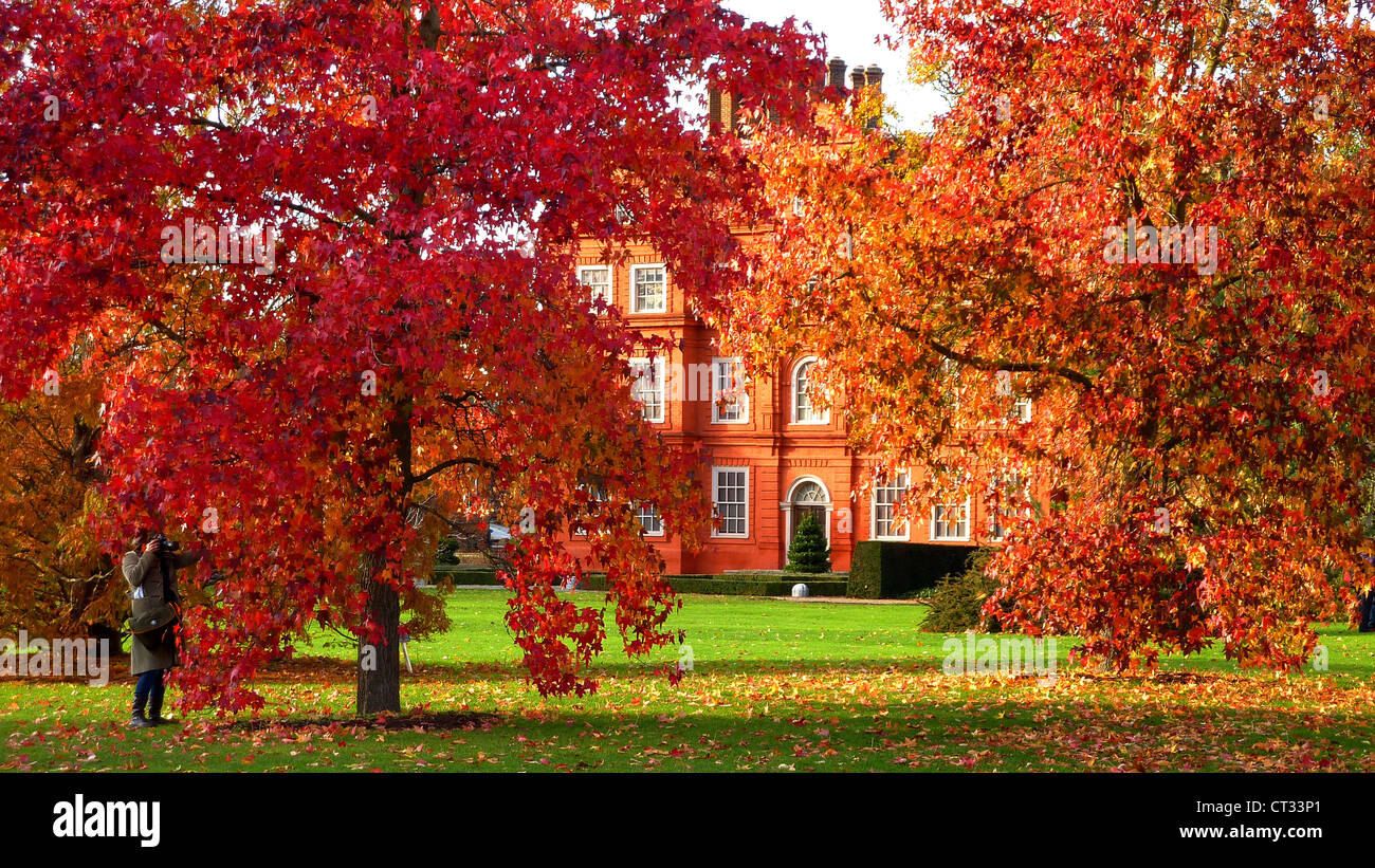 Kew Palace vu à travers les feuilles d'érable rouges de l'automne avec un photographe Banque D'Images