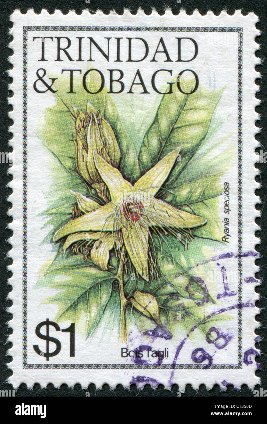 Trinité-et-Tobago - circa 1983 : timbres-poste imprimés en Trinité-et-Tobago, représente une fleur Ryania Speciosa, vers 1983 Banque D'Images
