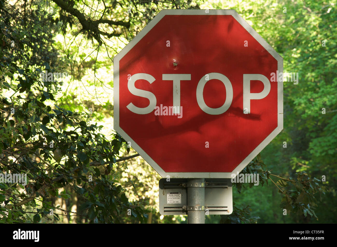 La signalisation routière. Un panneau d'arrêt octogonal rouge à côté d'une route de campagne en milieu rural Dorset. Quelqu'un a pris un pot tiré sur elle. Angleterre, Royaume-Uni. Banque D'Images