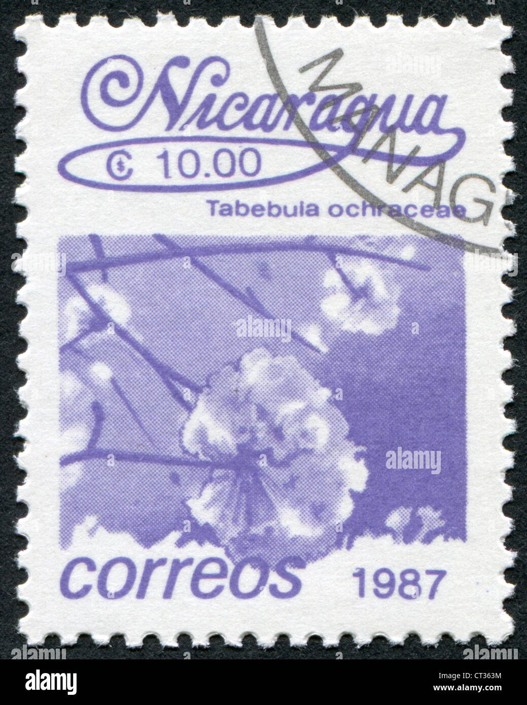 NICARAGUA - circa 1987 : timbres-poste imprimés en Nicaragua, expositions de fleurs Tabebuia ochracea, vers 1987 Banque D'Images