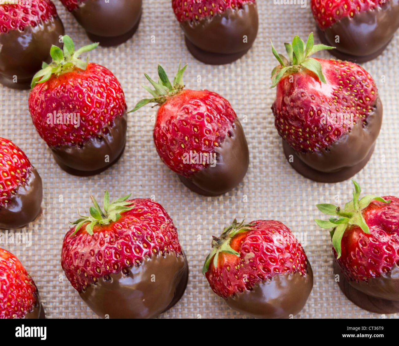 Un plateau de fraises enrobées de chocolat Banque D'Images