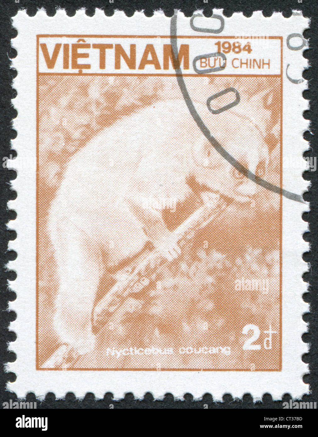 VIETNAM-VERS 1984 : timbre imprimé dans le Vietnam montre loris lent Sunda (Nycticebus coucang), vers 1984 Banque D'Images