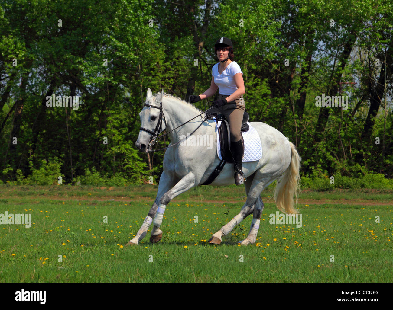 L'équitation fille style Anglais Banque D'Images