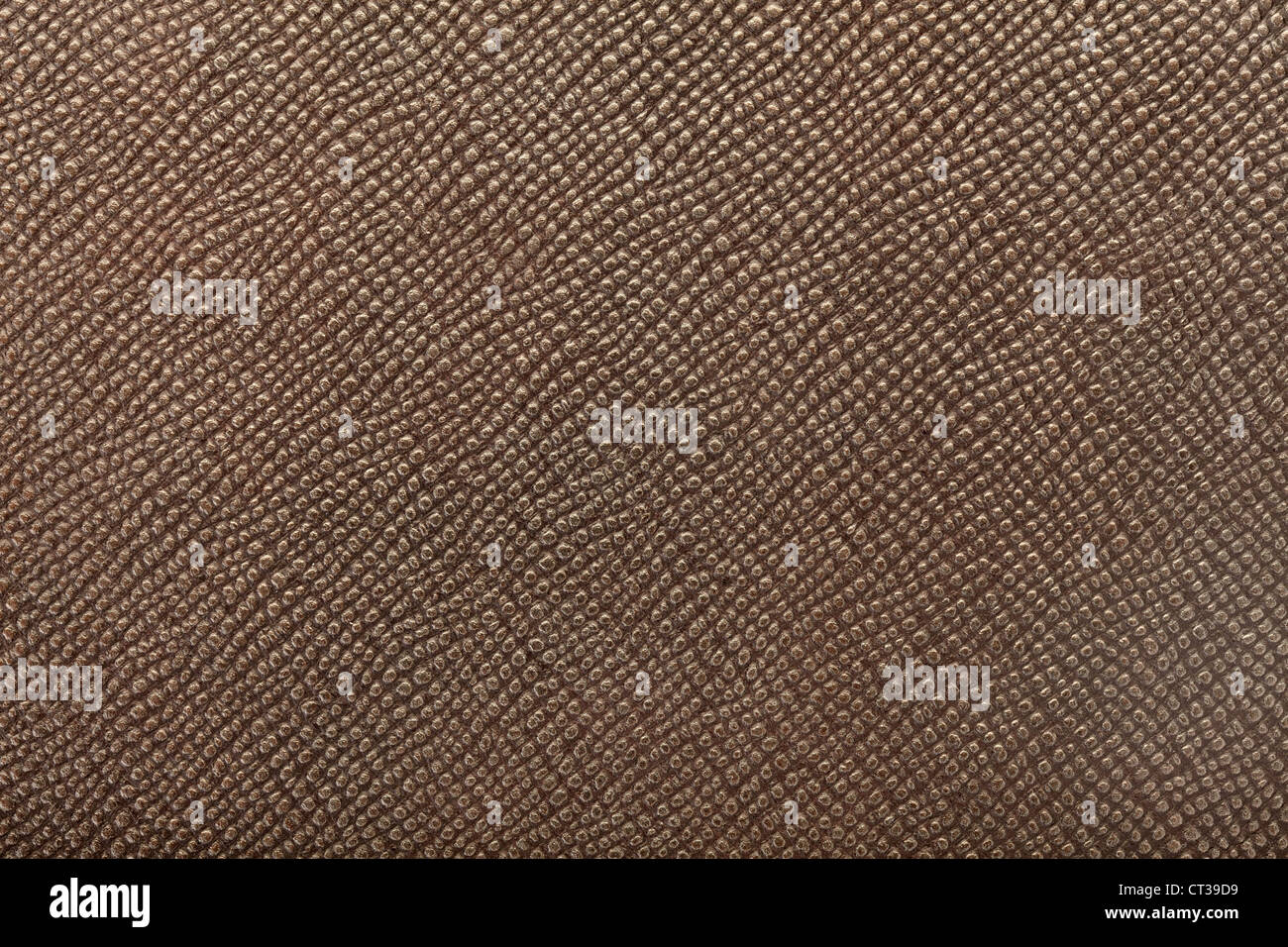 En cuir de reptile marron texture background Banque D'Images