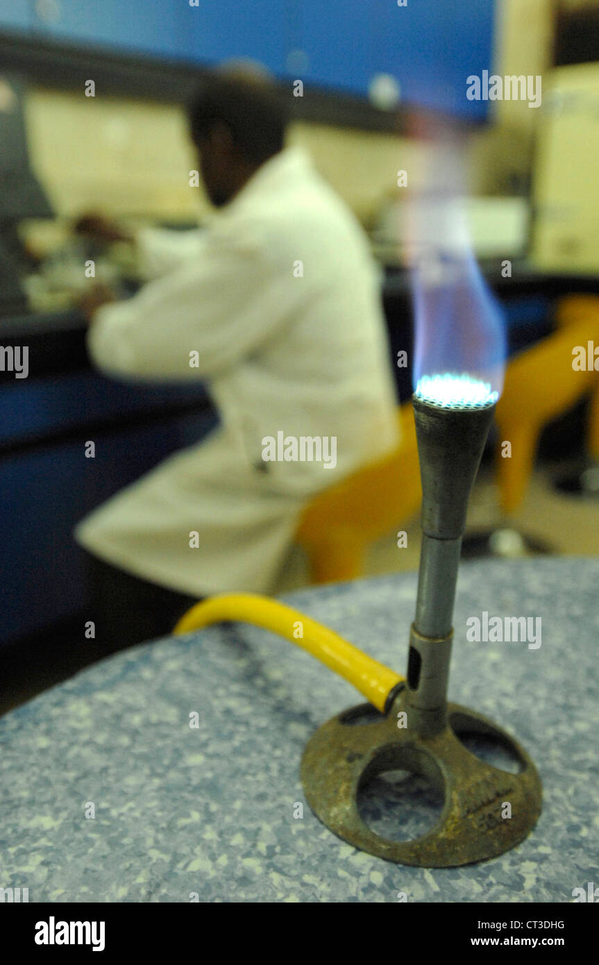 Premier plan ; un bec Bunsen allumé sur une table de laboratoire. Arrière-plan ; un technicien de laboratoire examinant des échantillons. Banque D'Images