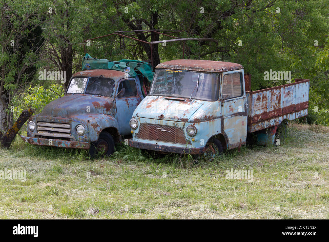 Deux camions pick up abandonnés dans un champ Banque D'Images
