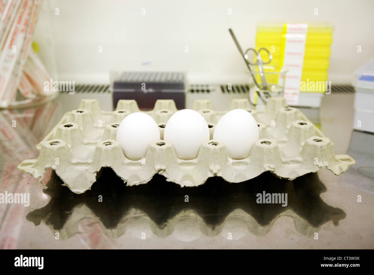 Laboratoire de virologie Banque D'Images