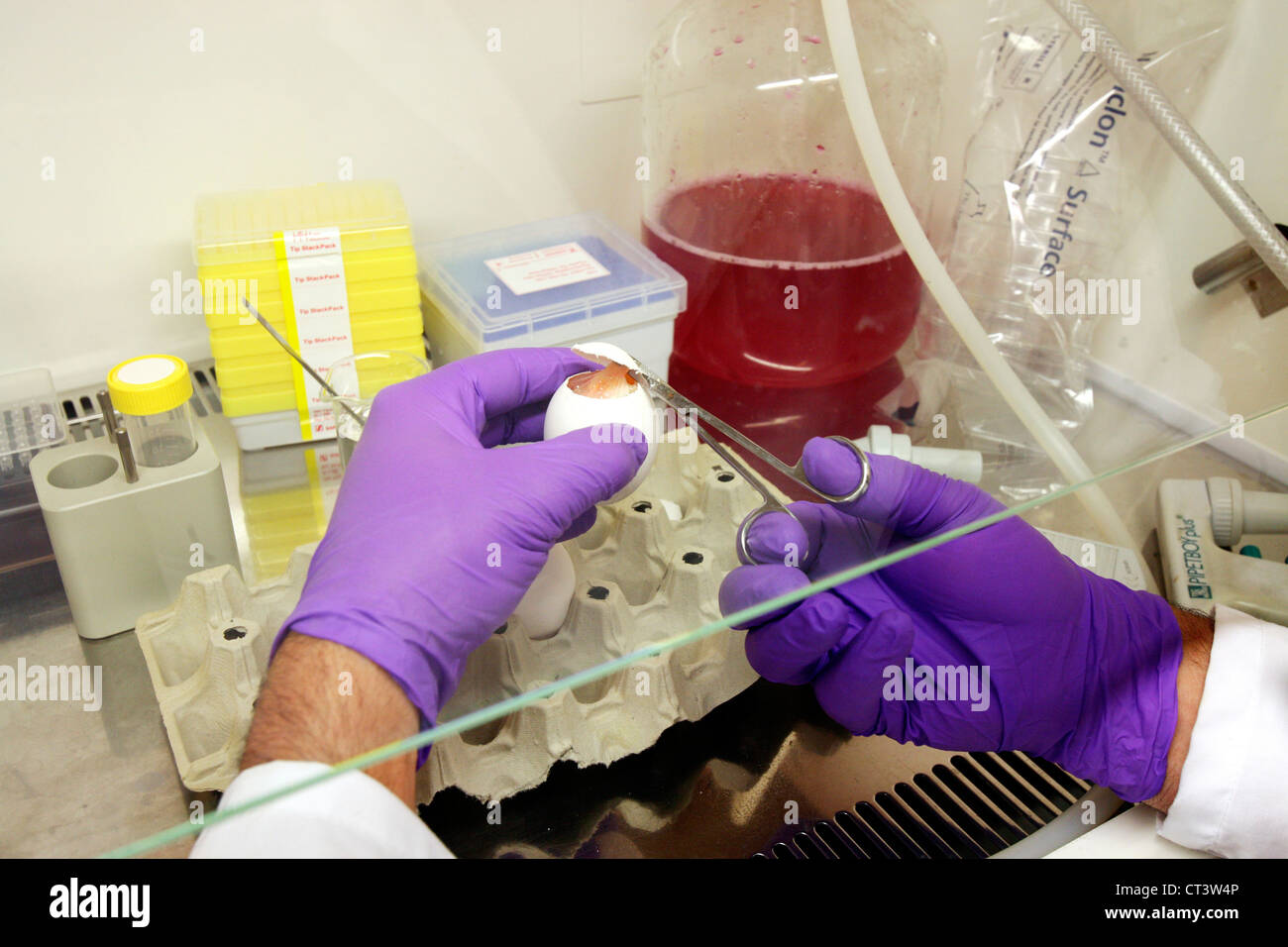 Laboratoire de virologie Banque D'Images