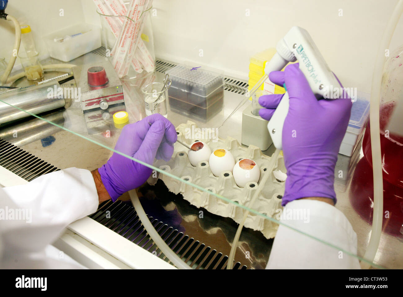 Laboratoire de virologie Banque D'Images