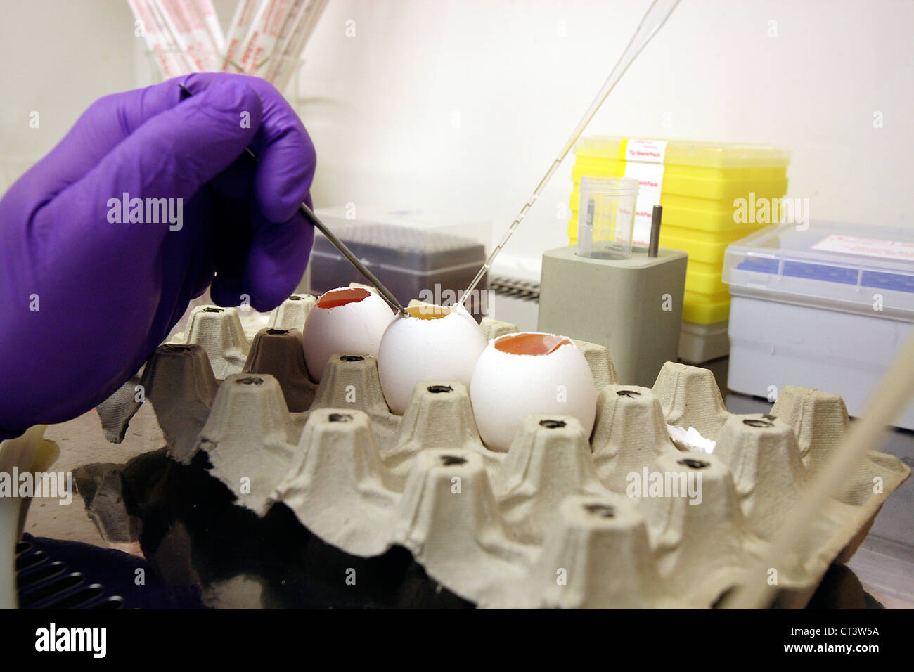 Laboratoire de virologie Banque D'Images