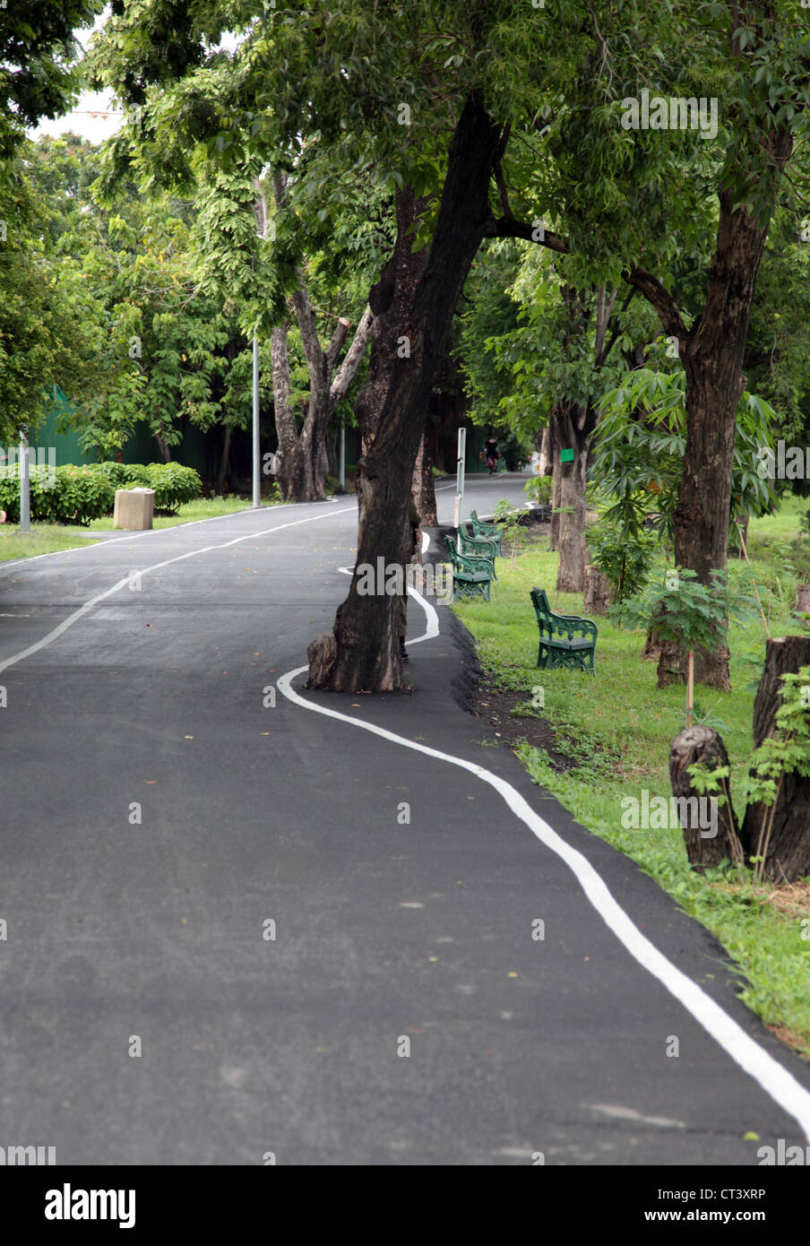 C'est une photo d'une route étrange dans un parc à Bangkok que passer. La route n'est pas droit et il y a des arbres dans le milieu Banque D'Images