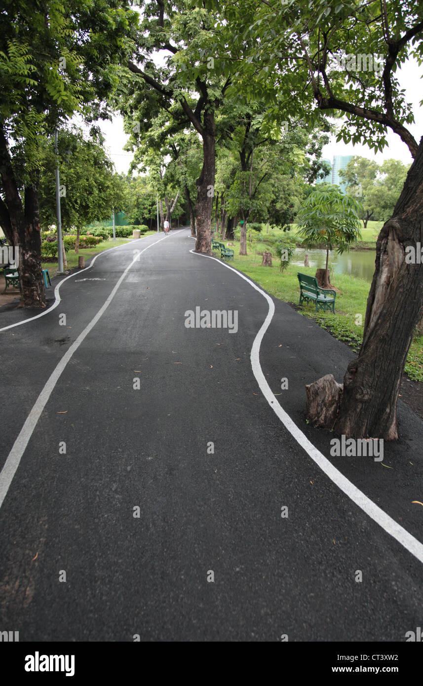 C'est une photo d'une route étrange dans un parc à Bangkok que passer. La route n'est pas droit et il y a des arbres dans le milieu Banque D'Images