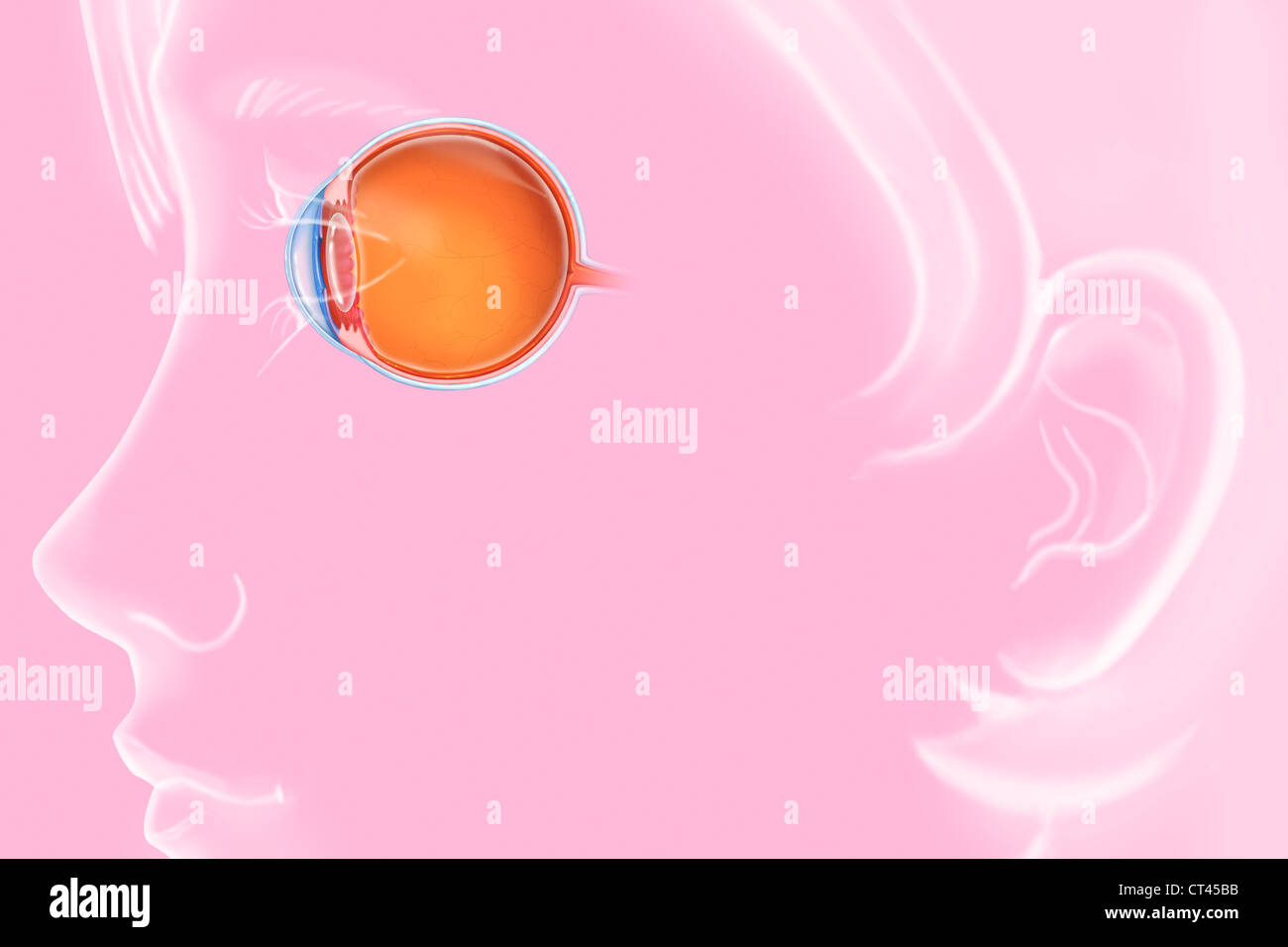 OEIL, DESSIN Banque D'Images