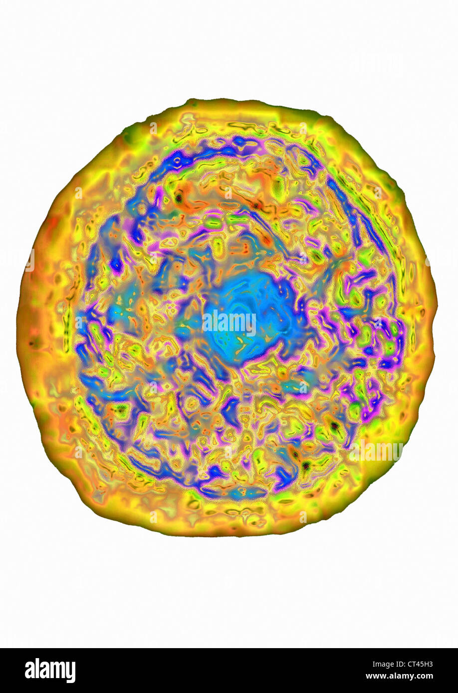 Microscope optique cellule Banque d'images détourées - Alamy