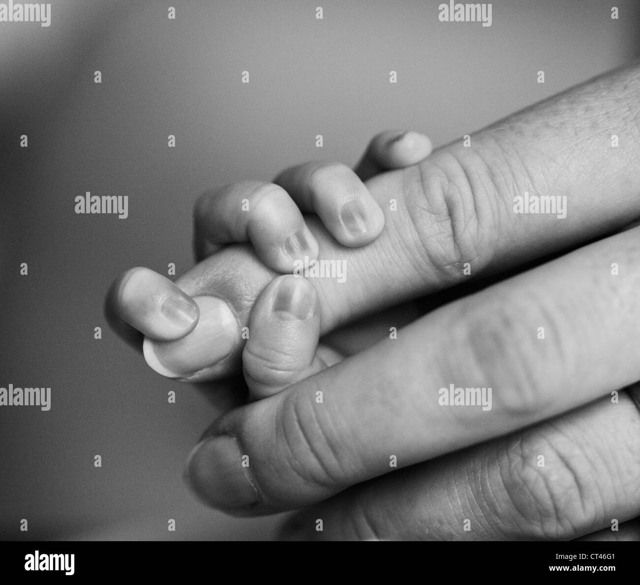 Un baby's hand holding soigneusement sur les mères d'un index. Banque D'Images
