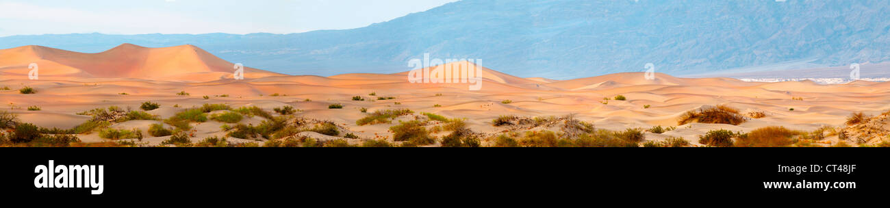 Soleil panoramique dans la vallée de la mort sur Mesquite Dunes, Death Valley, California, USA Banque D'Images