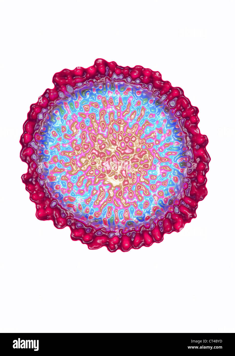 Le virus de l'INFLUENZA AVIAIRE Banque D'Images