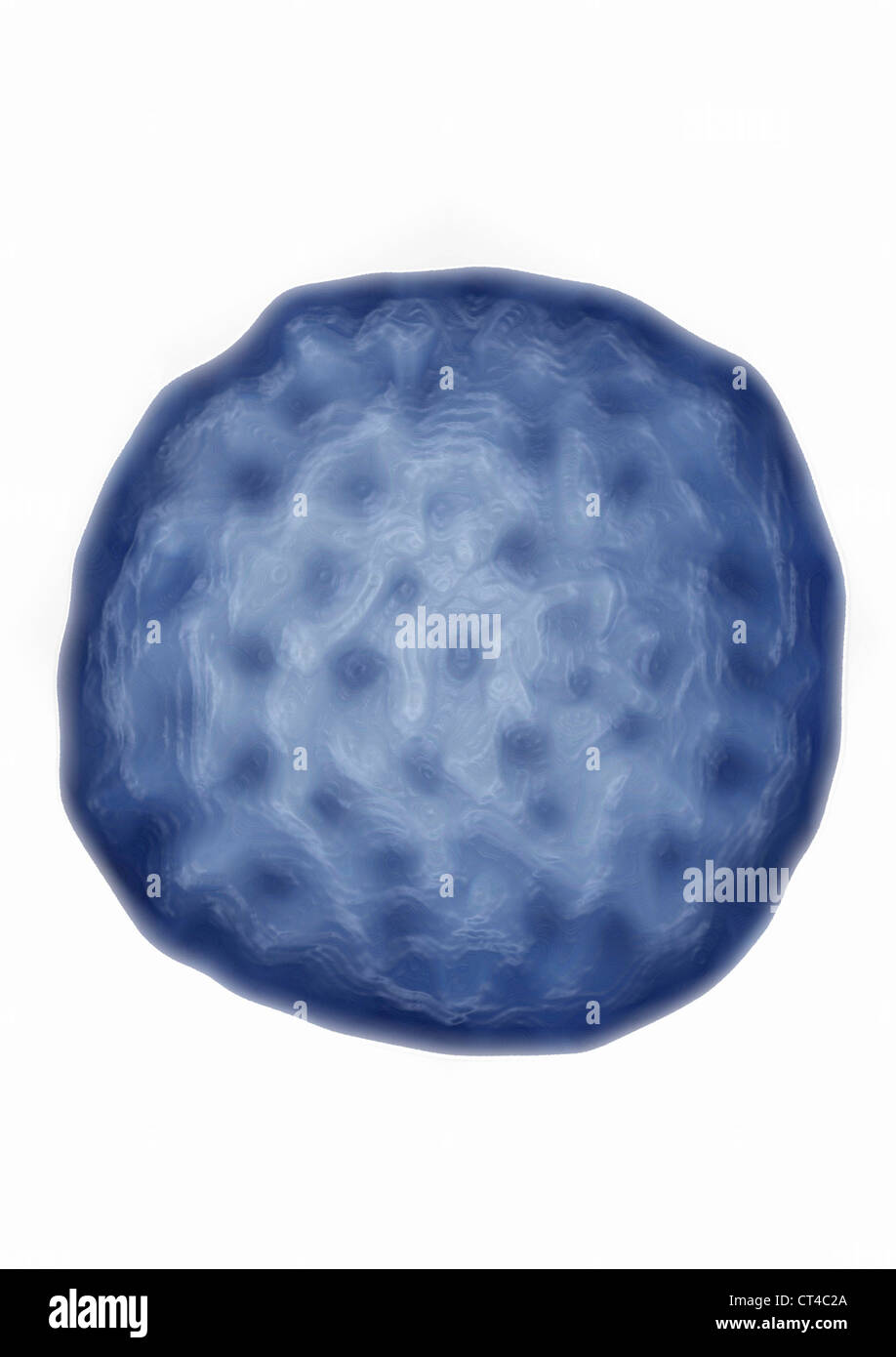 RÉOVIRUS Banque D'Images