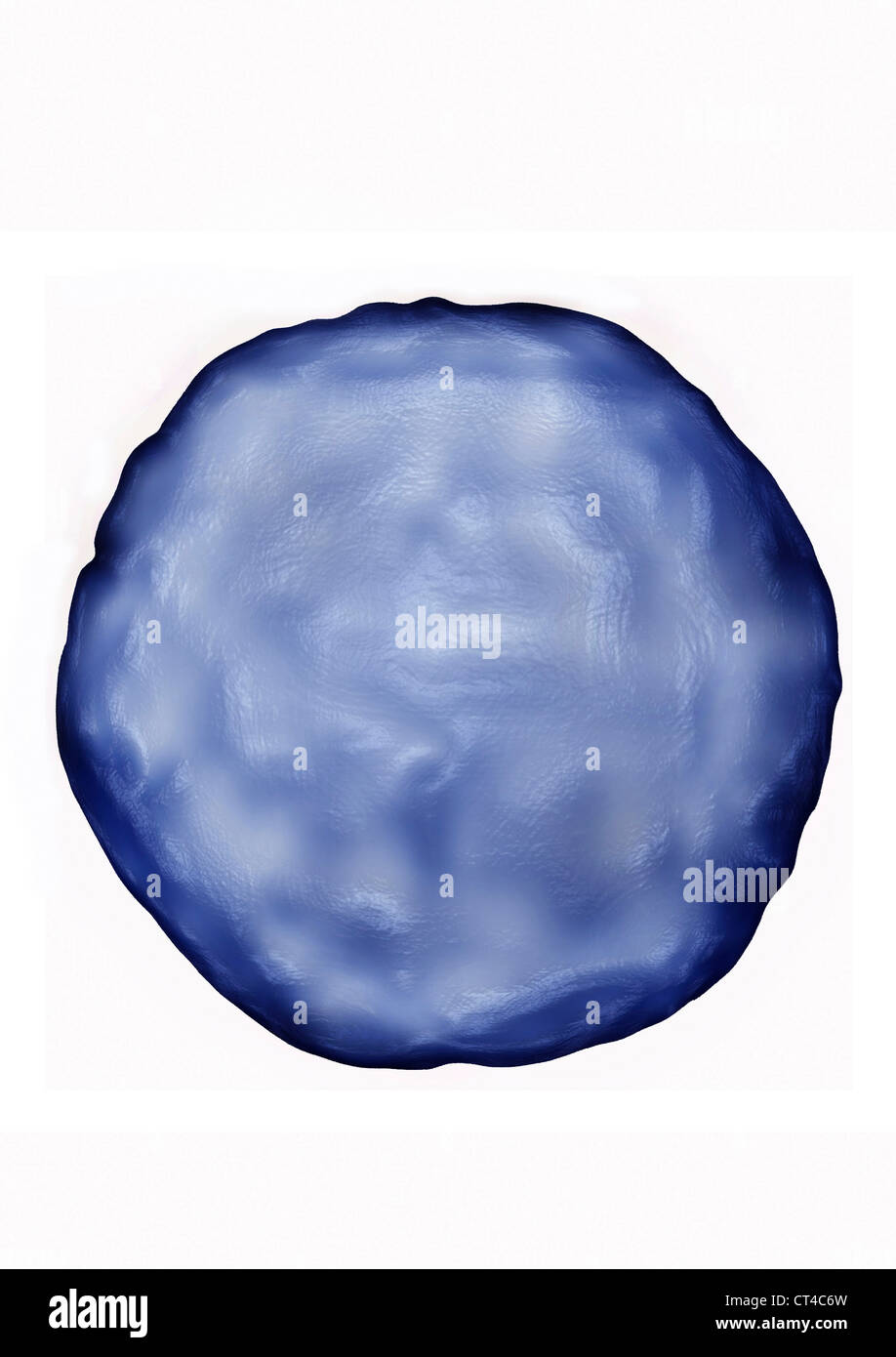 Le VIRUS DE L'HÉPATITE A Banque D'Images