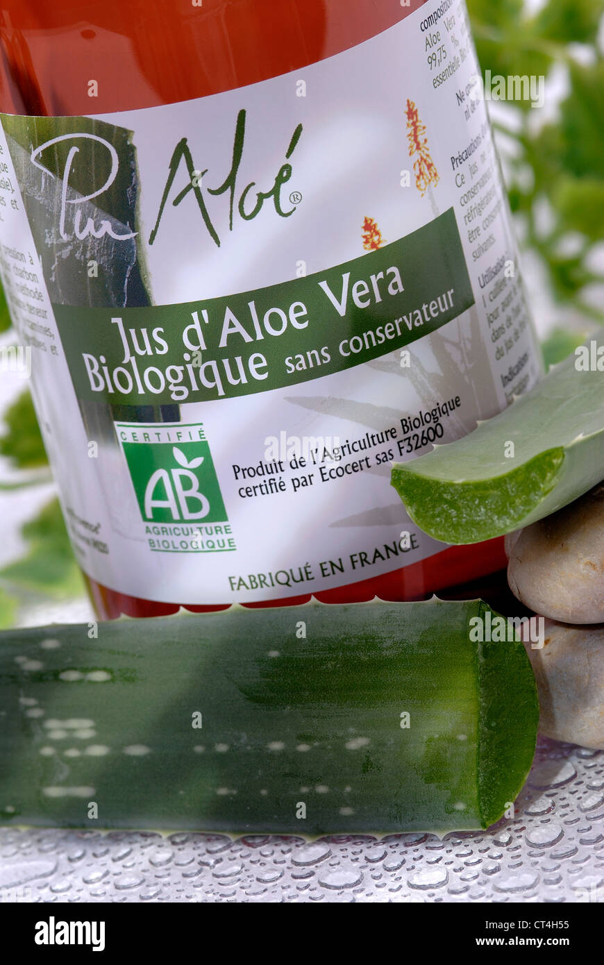 JUS D’ALOE VERA Banque D'Images