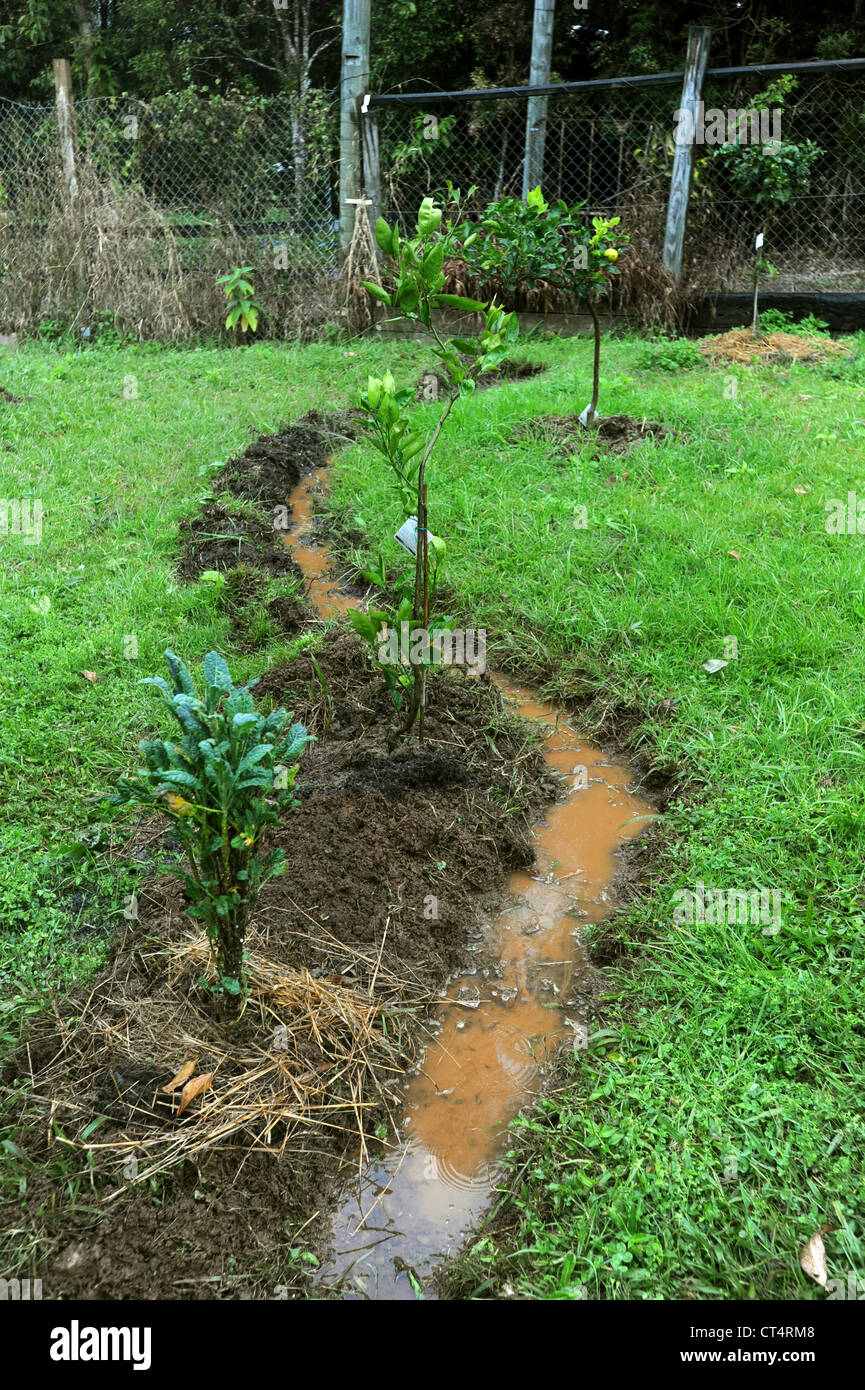 La Permaculture rigole de vidange de l'eau jardin distribution Banque D'Images