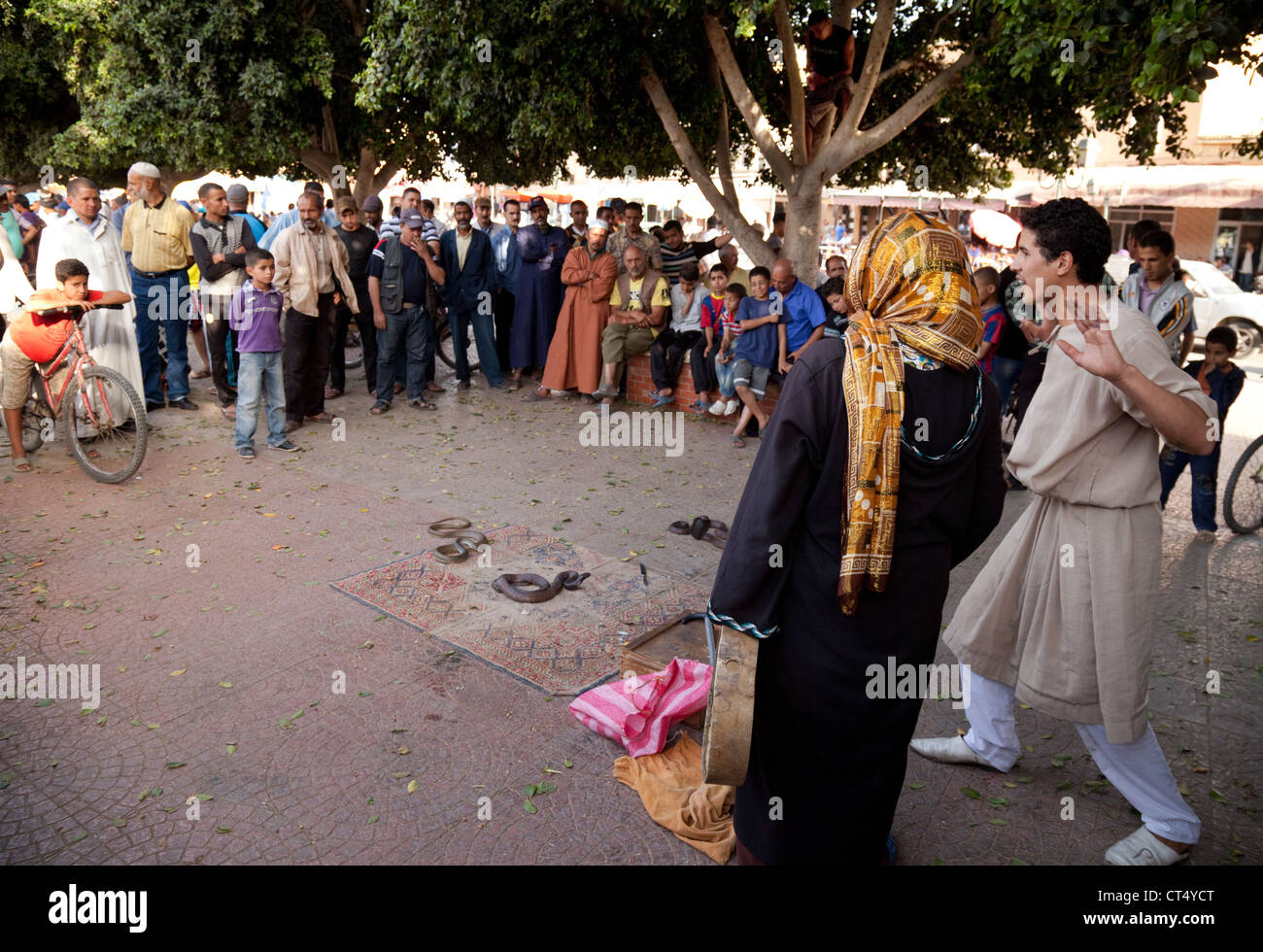 Charmeurs de l'exécution sur la place centrale, Taroudant, Maroc Sud Banque D'Images