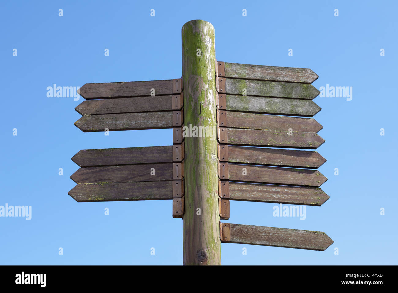 Panneau en bois blanc Banque D'Images