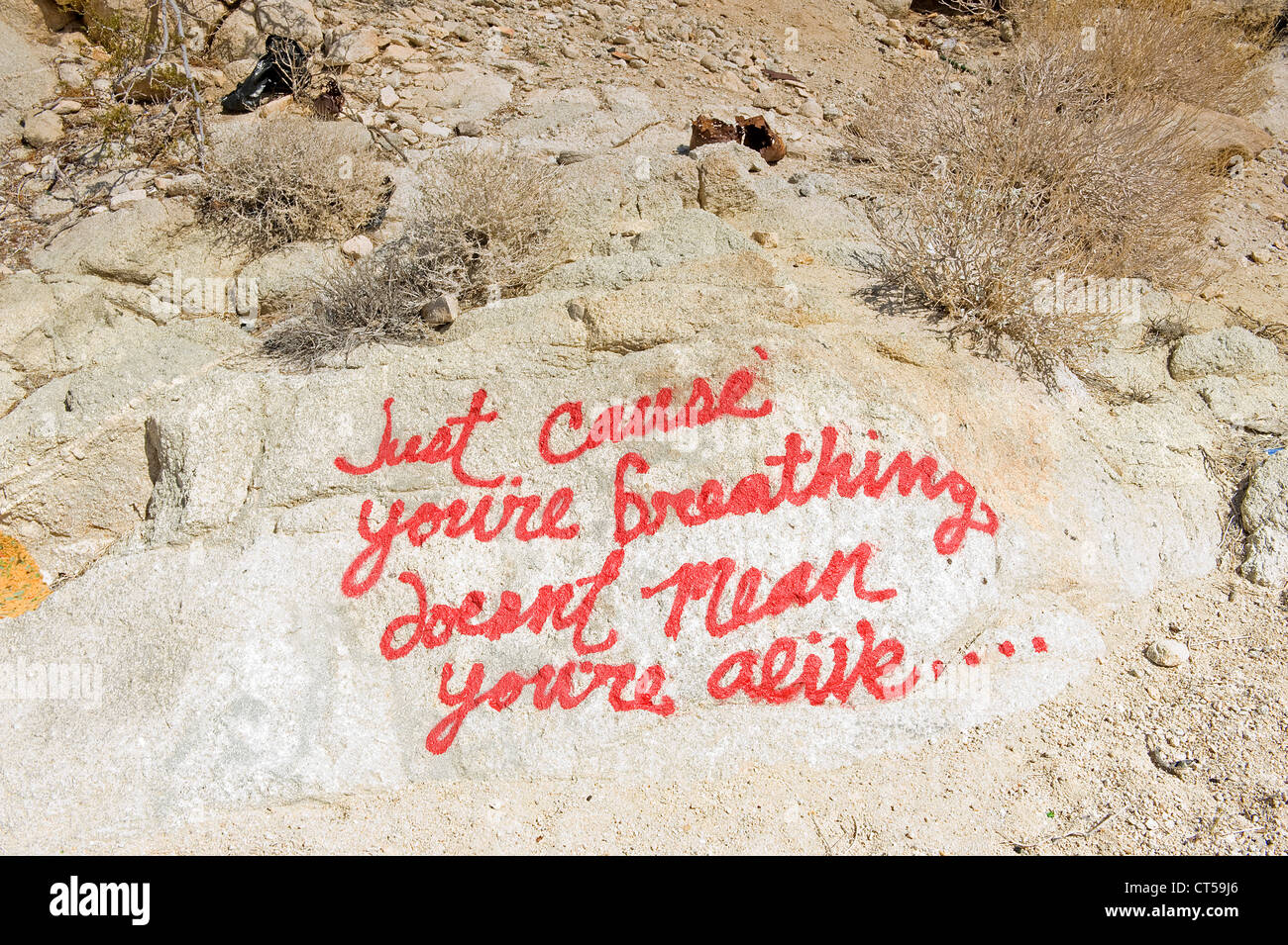 Des roches couvertes de graffiti dans le désert de Mojave, Californie, USA. "Juste parce que vous êtes la respiration ne signifie pas que vous êtes en vie.....' Banque D'Images