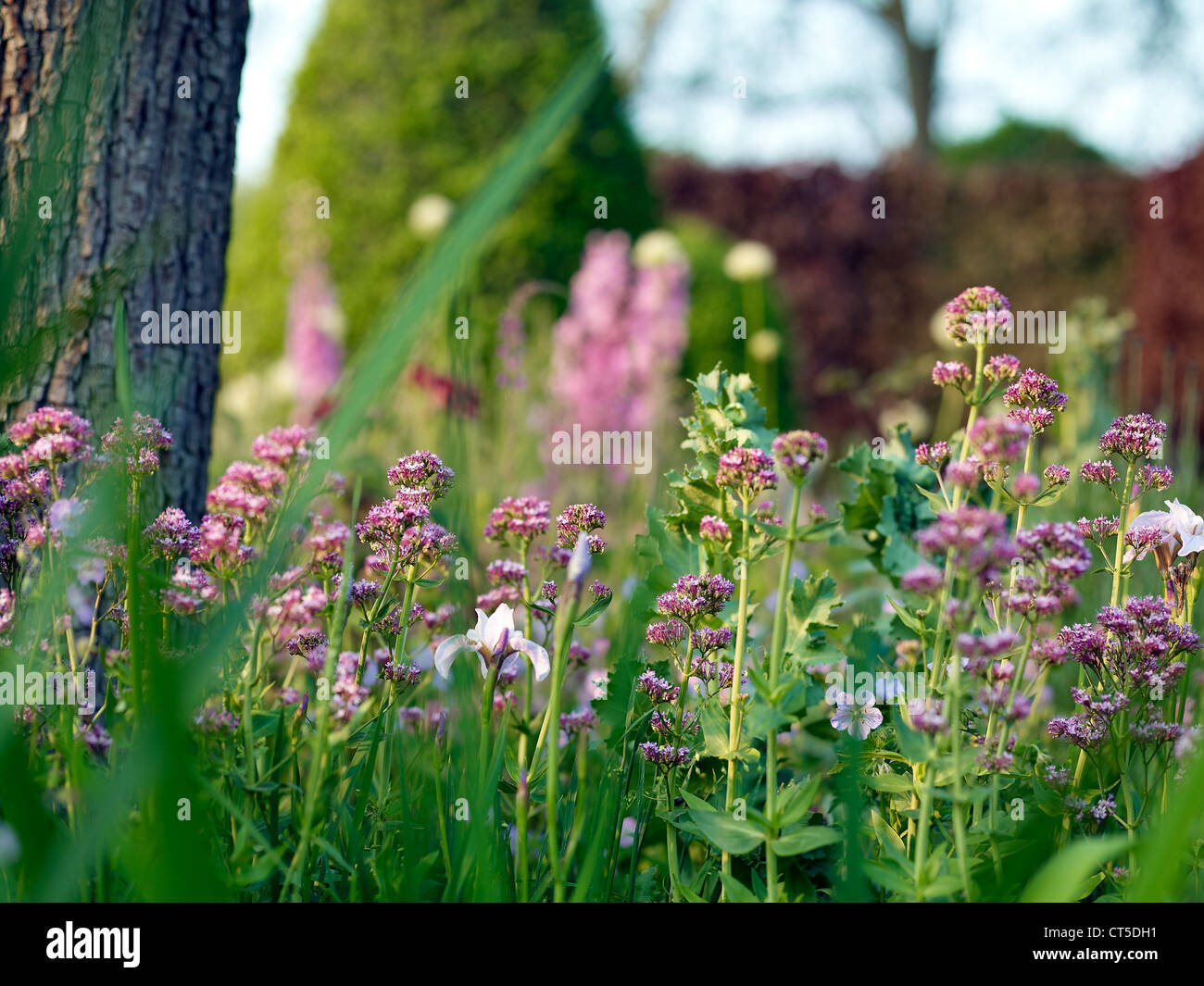 Bicentenaire Laurent-Perrier jardin par Arne Maynard au Chelsea Flower Show 2012 Banque D'Images