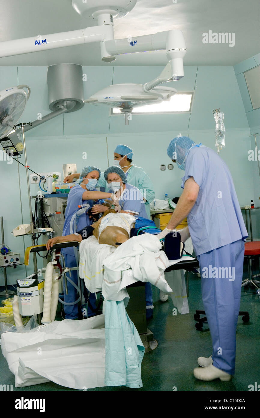 CHIRURGIE Banque D'Images