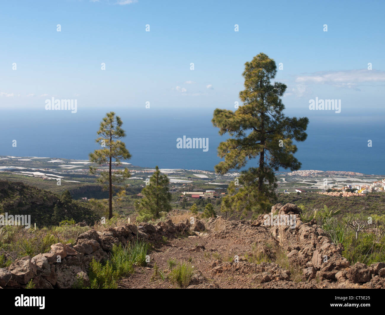 Vue sur le sud-ouest de Ténérife, Espagne côte depuis le sentier entre Guia de Isora et Chirche Banque D'Images