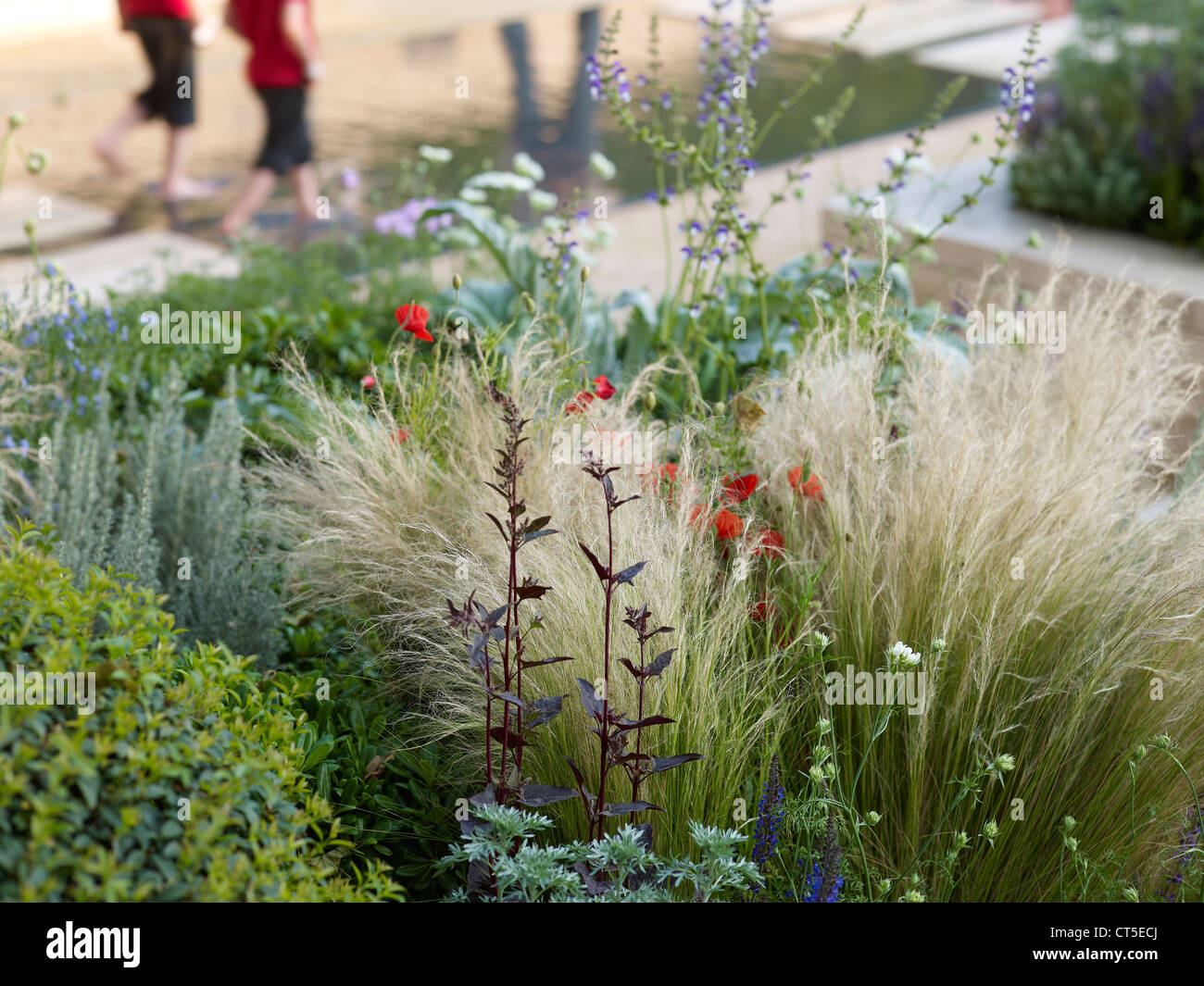 Jardin à la Chelsea Flower Show 2012 Banque D'Images
