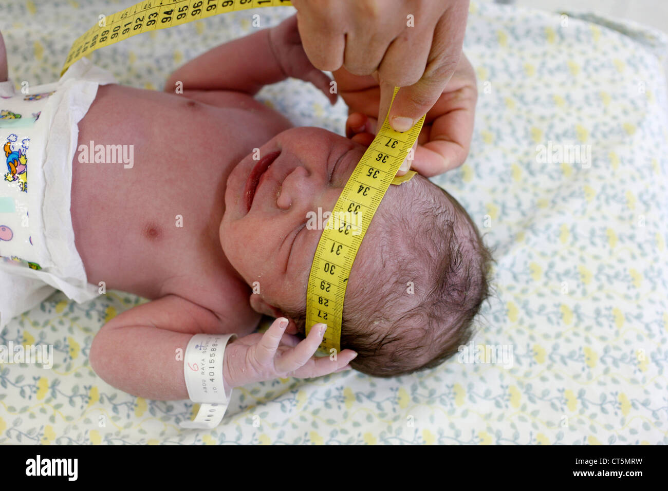 Tour De Tete Photo Stock Alamy
