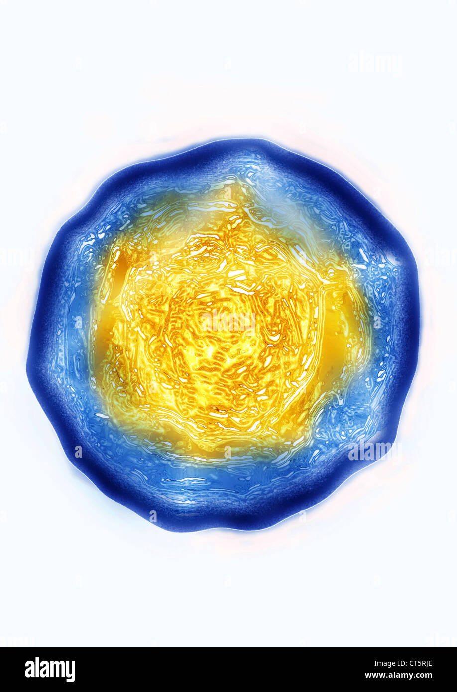 POLIOVIRUS, TEM Banque D'Images