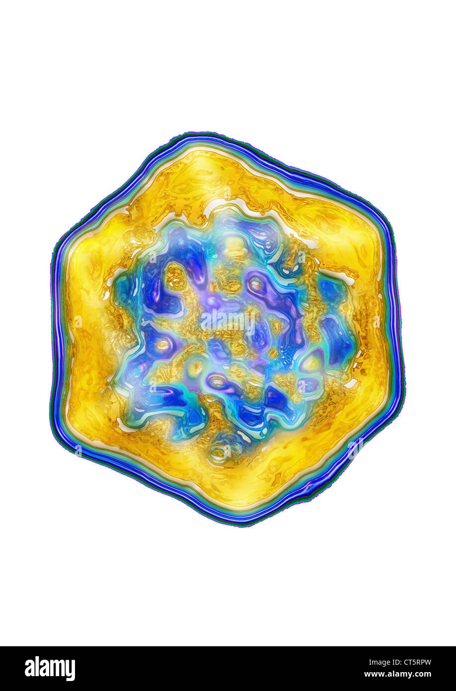 Le VIRUS DE L'HÉPATITE A Banque D'Images