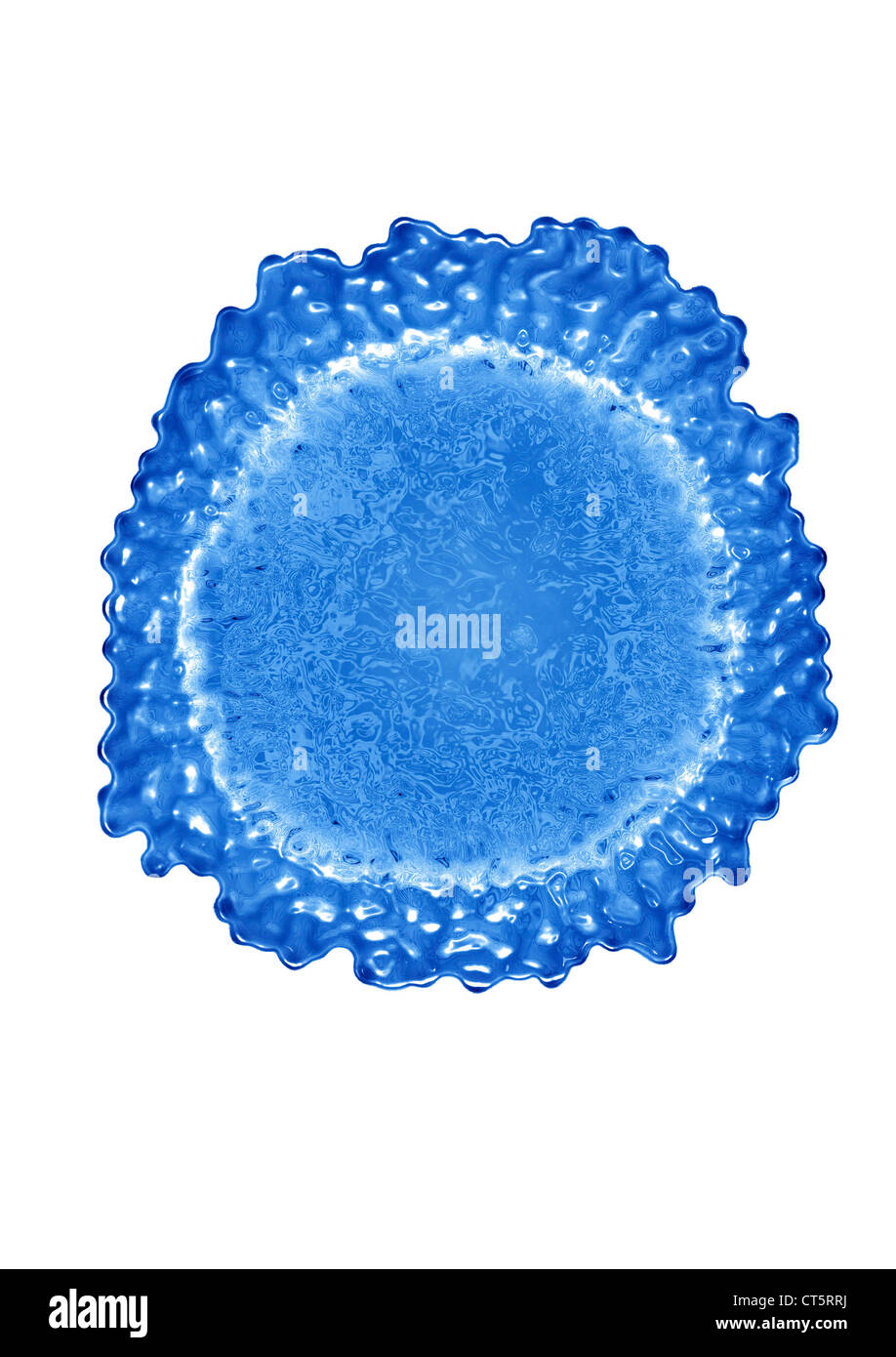 Le virus de l'influenza, le TEM Banque D'Images