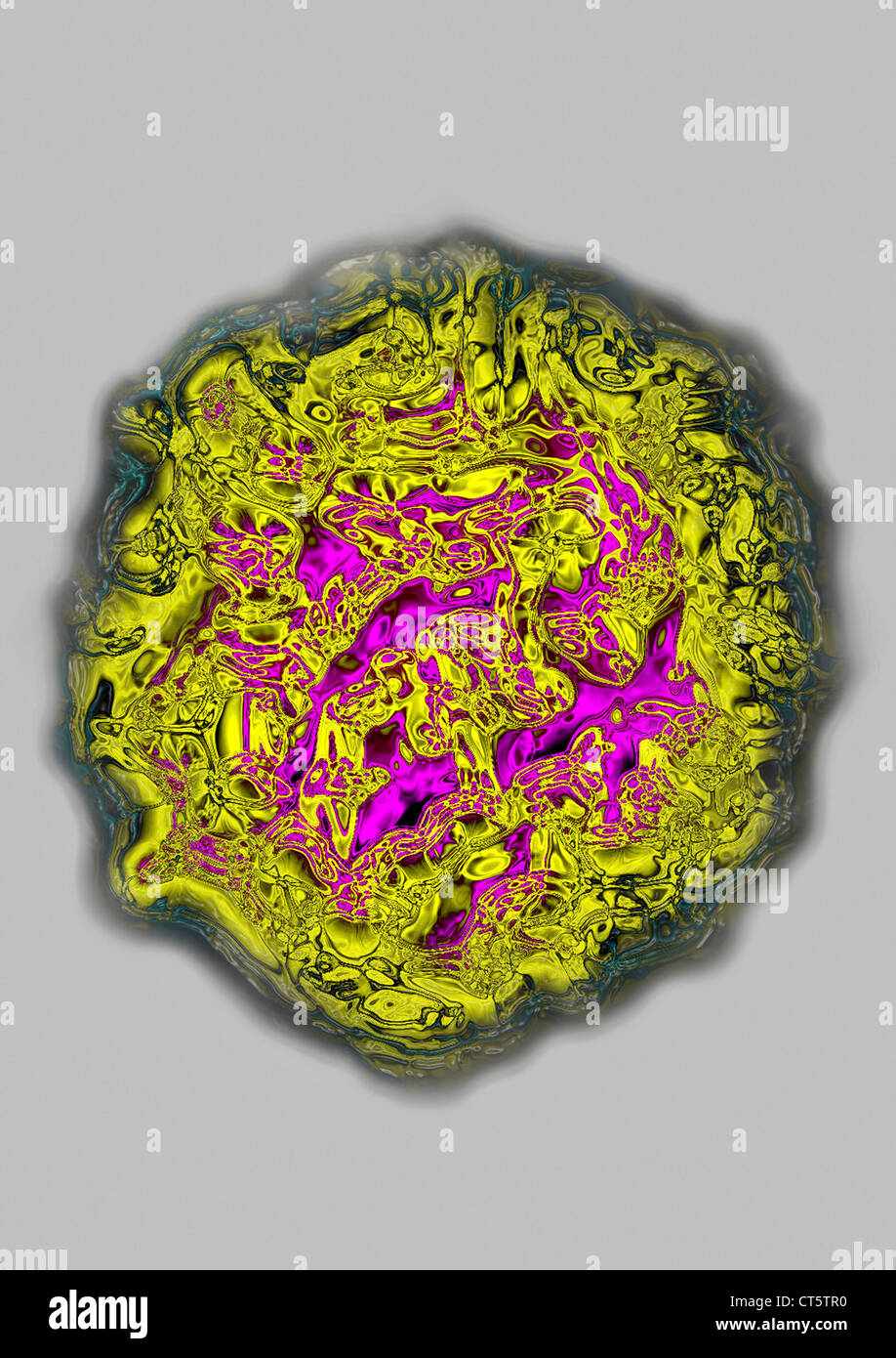 VIRUS COXSACKIE Banque D'Images